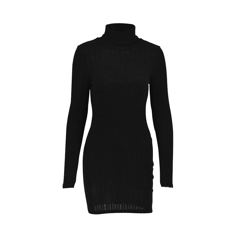 Women's Autumn/Winter Long Sleeve Turtleneck Mini Dress....20% OFF!