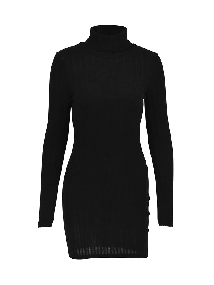Women's Autumn/Winter Long Sleeve Turtleneck Mini Dress....20% OFF!
