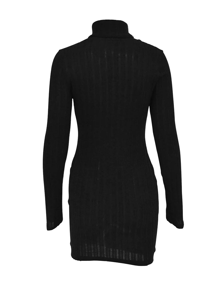 Women's Autumn/Winter Long Sleeve Turtleneck Mini Dress....20% OFF!
