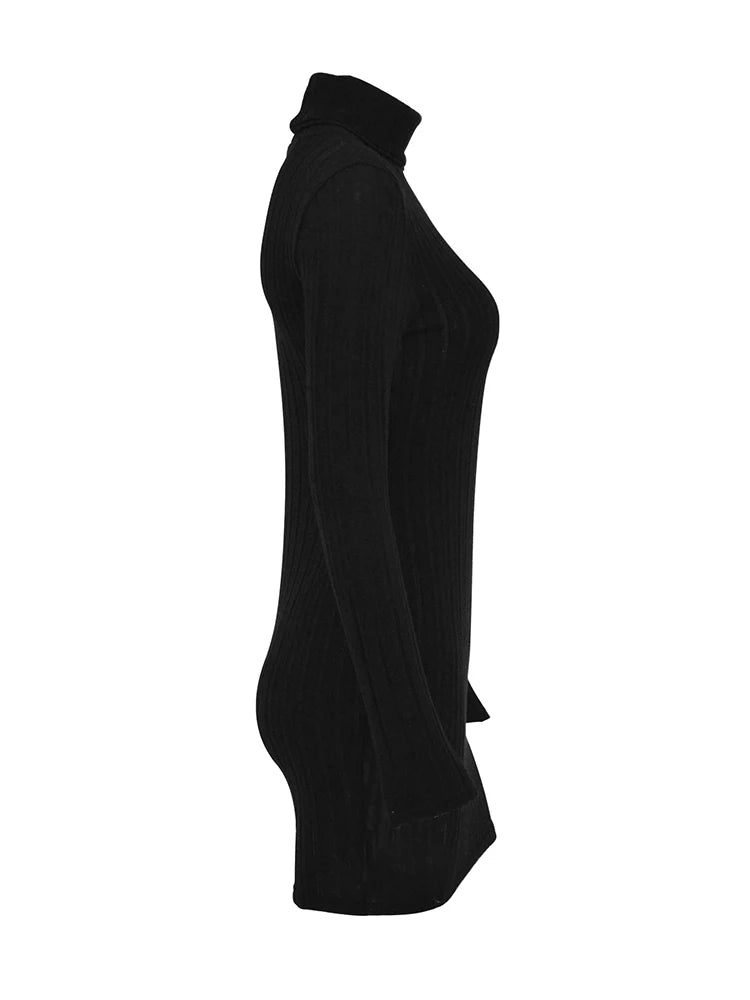 Women's Autumn/Winter Long Sleeve Turtleneck Mini Dress....20% OFF!