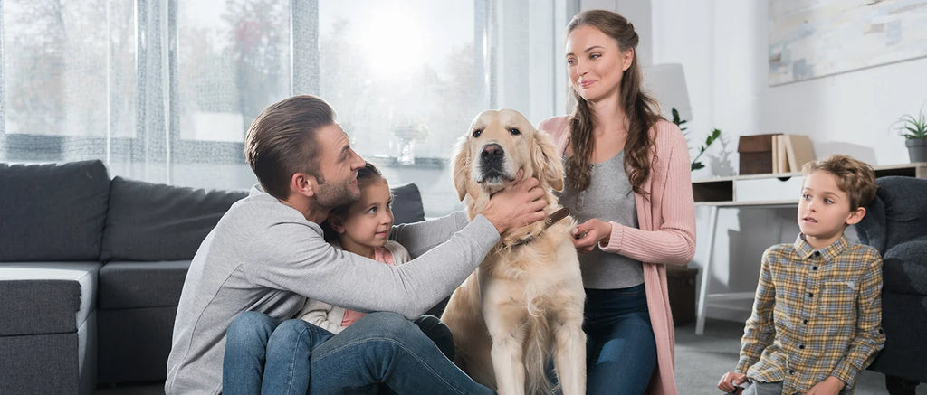 Men's Electric Razor, Rechargeable, Electric Razor Shaver, Wet/Dry Shave, 3 Sets Of Floating Heads....37.77% OFF!