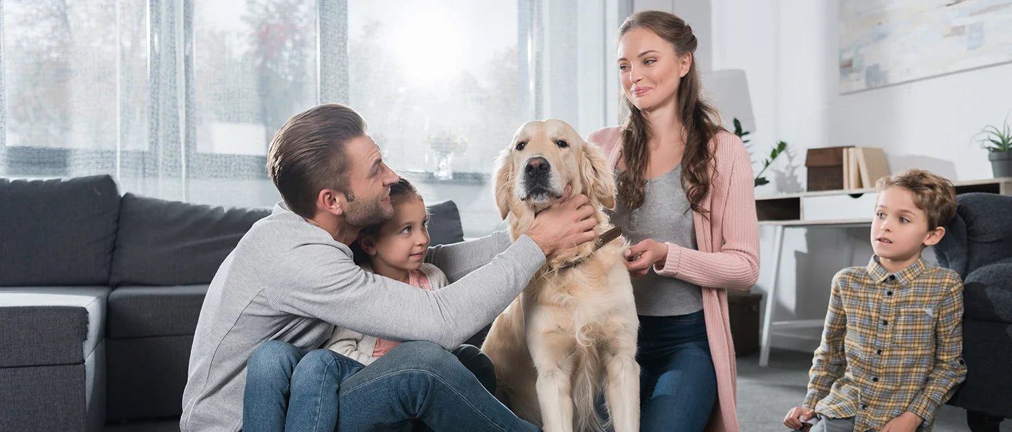 Men's Electric Razor, Rechargeable, Electric Razor Shaver, Wet/Dry Shave, 3 Sets Of Floating Heads....37.77% OFF!