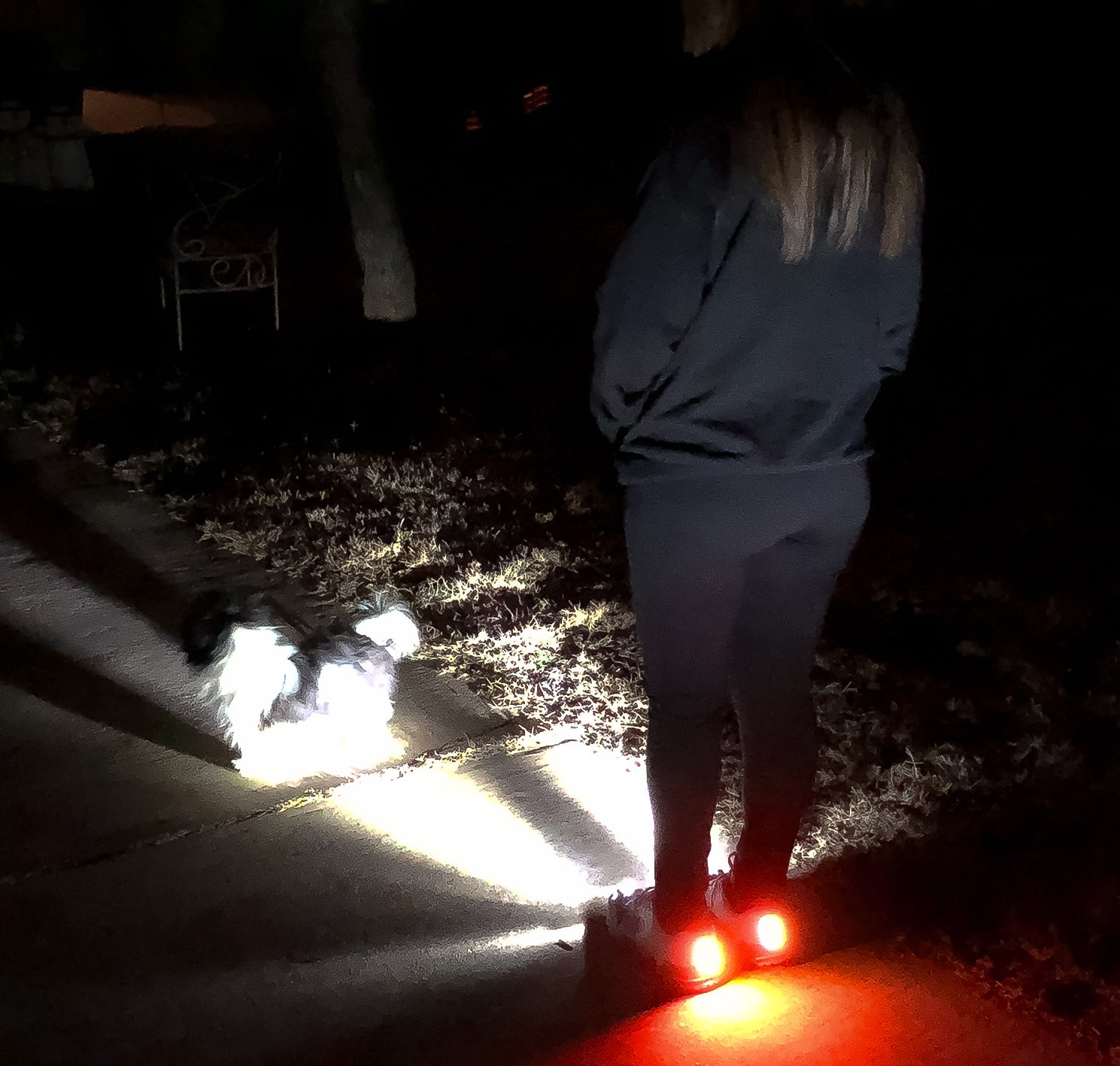 Women's Night Runner, Headlight System & Rear Running Safety Light System- Both Independently Remote Controlled. Enhanced Arch Support & Padded Collar & Tongue.